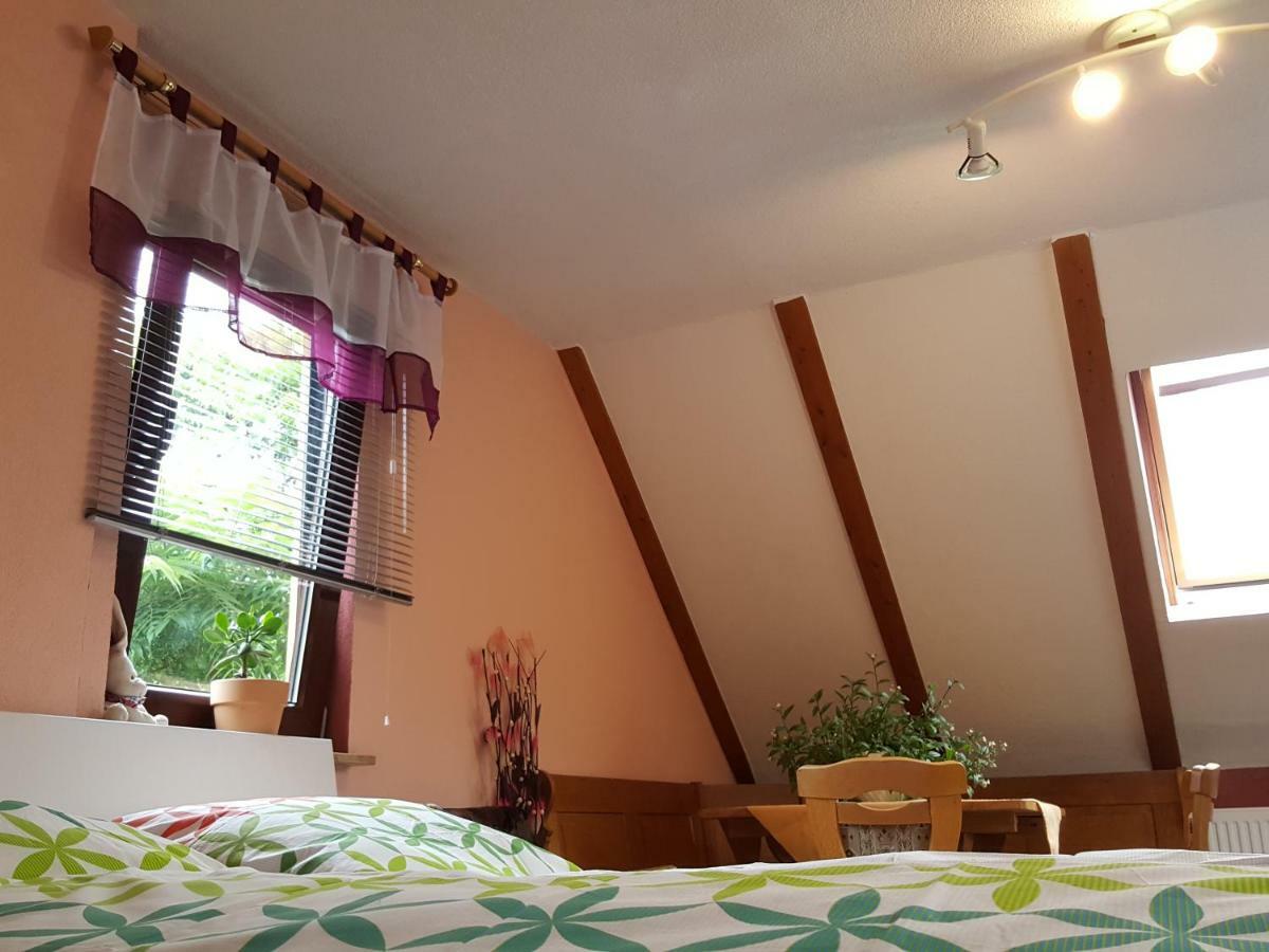 Ferienhaus Am Kirchberg Kurort Steinbach-Hallenberg エクステリア 写真