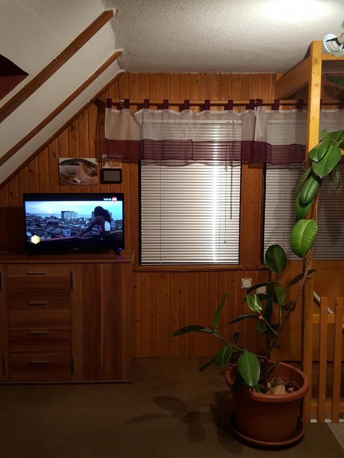 Ferienhaus Am Kirchberg Kurort Steinbach-Hallenberg エクステリア 写真